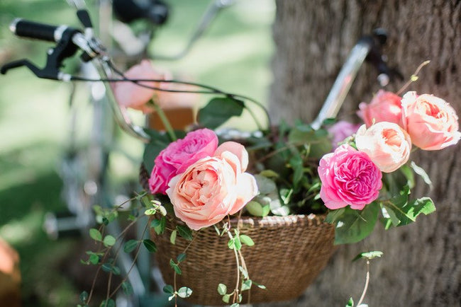 Garden-Inspired Summer Wedding