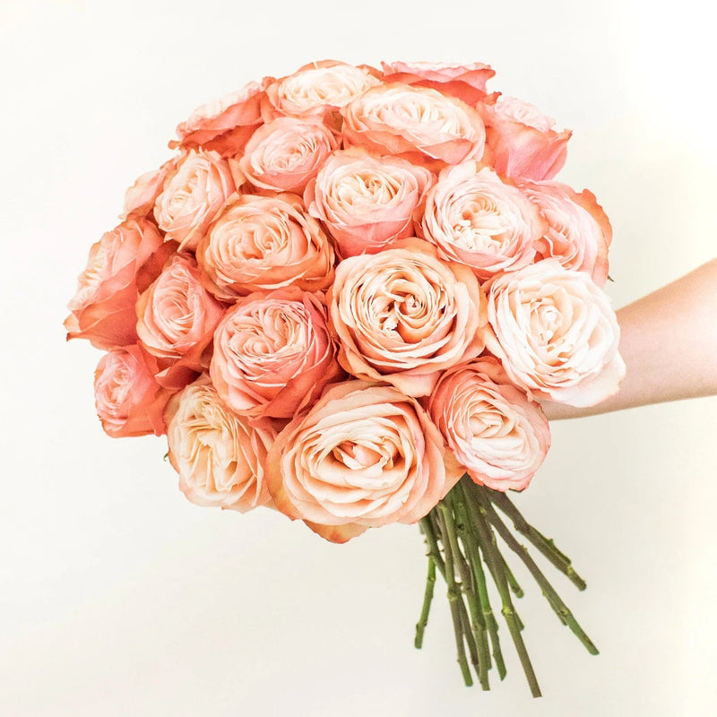 Kahala Peach Rose Bunch in a Hand