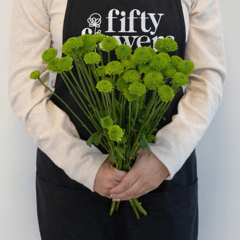 Kermit Green Button Pom Flower Stem - Image