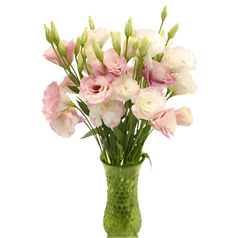 Kiss Of Blush Designer Lisianthus Flower Vase - Image