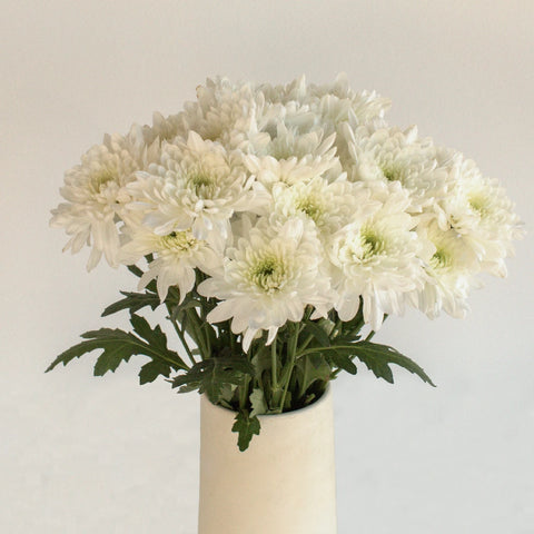 Kiss Of Mint Dahlia Style Flower Vase - Image