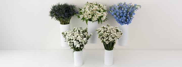 Light Blue Magic DIY Flower Kit