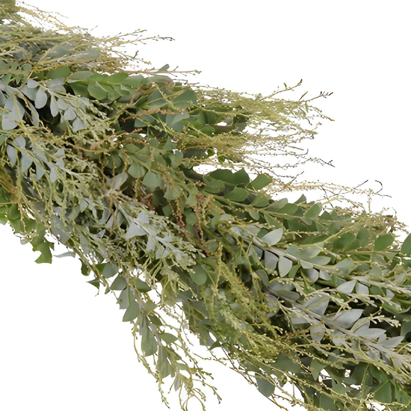 Sage Green Knifeblade Acacia Garland
