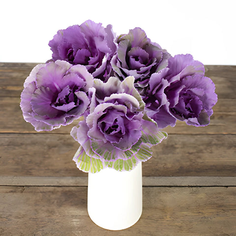 Purple Ruffled Ornamental Kale Flower
