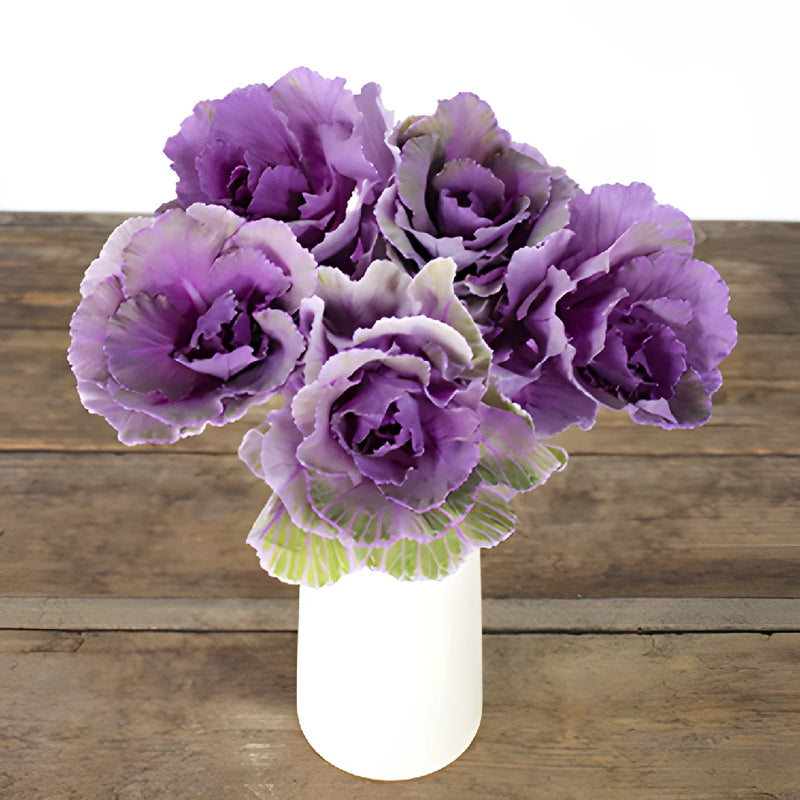 Purple Ruffled Ornamental Kale Flower