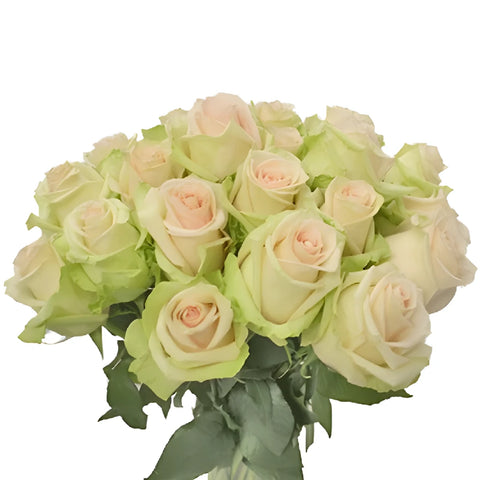 La Perla Peach Rose Vase - Image