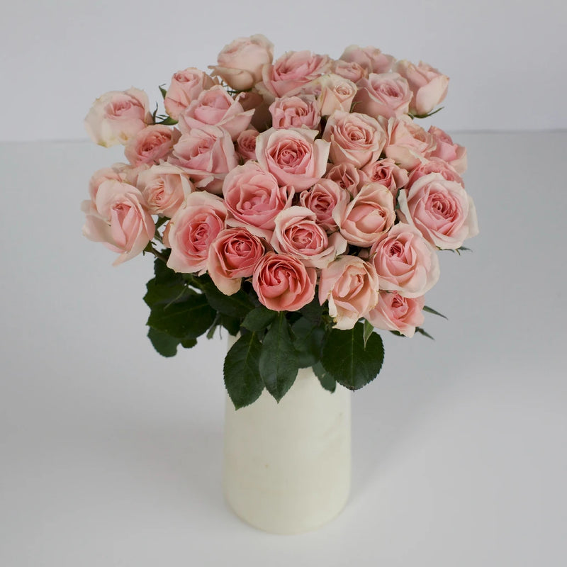 La Vie En Blush Spray Roses Vase - Image