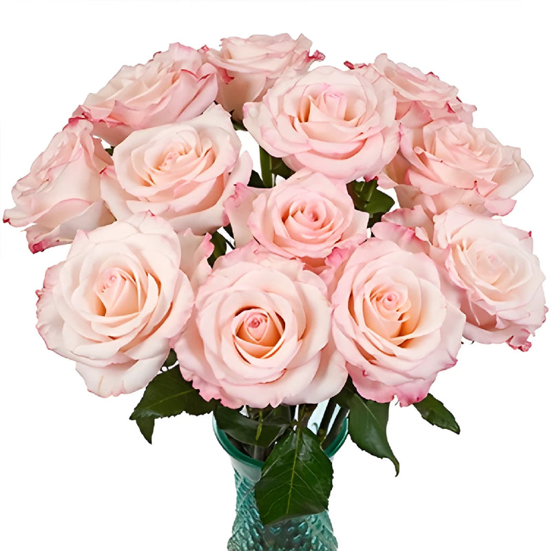 Party Pink Wholesale Roses