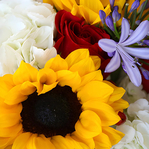 Jubilant Summer Sunflower Bouquet