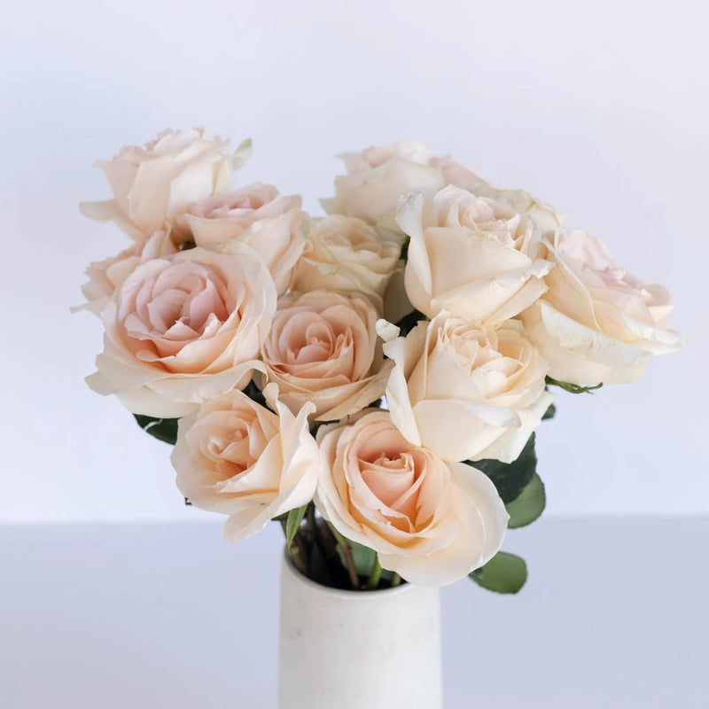 Lady Jane Sweetheart Rose Vase - Image