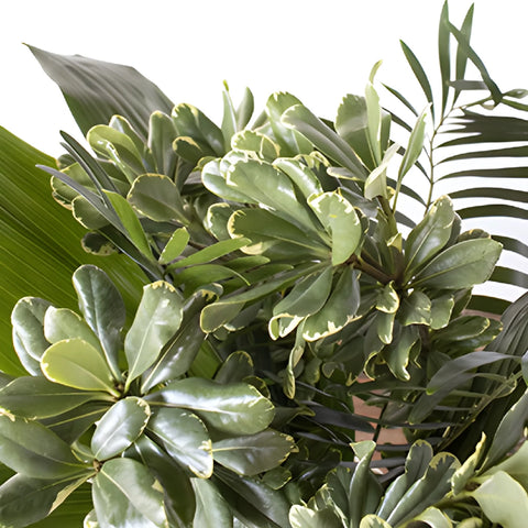 Lake greenery mix up close