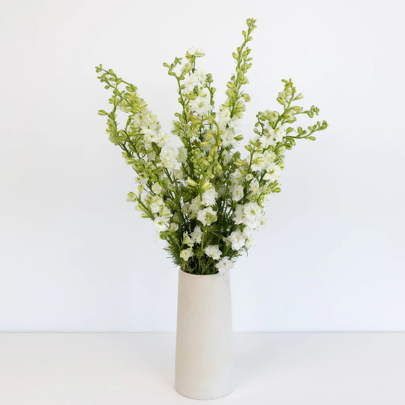 Larkspur White Flower Vase - Image