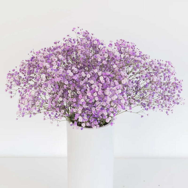 lavender artificial flower Buy Wholesale Lavender Airbrushed Baby's Breath Flower in Bulk
