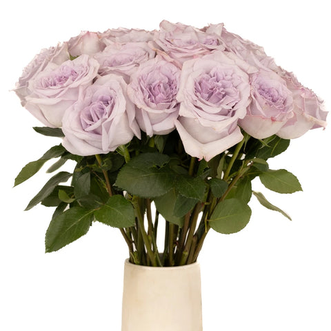 Lavender Arya Rose Vase - Image