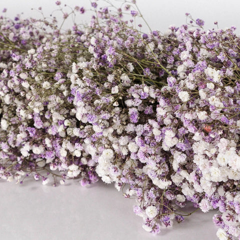 Lavender Baby's Breath Tinted Garland Close Up - Image