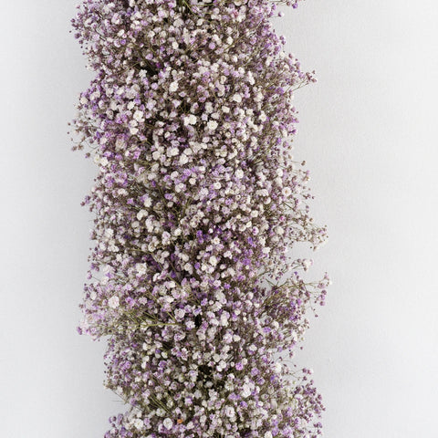 Lavender Baby's Breath Tinted Garland Hand - Image