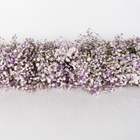 Lavender Baby's Breath Tinted Garland Vase - Image