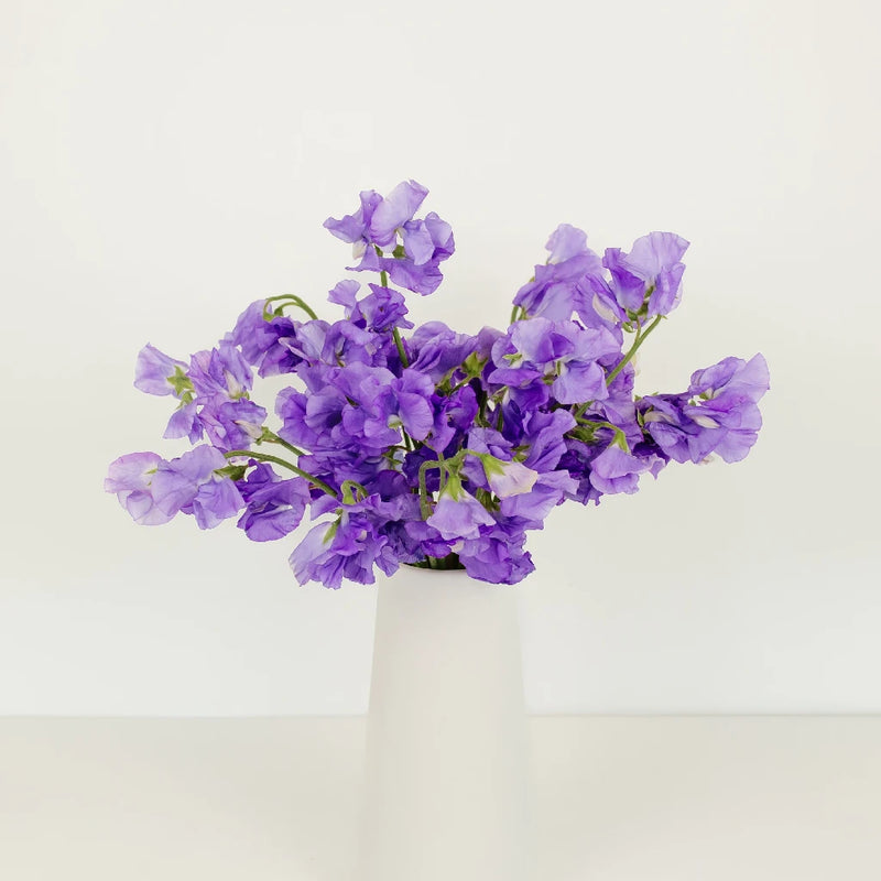 Lavender Flower Sweet Pea Vase - Image