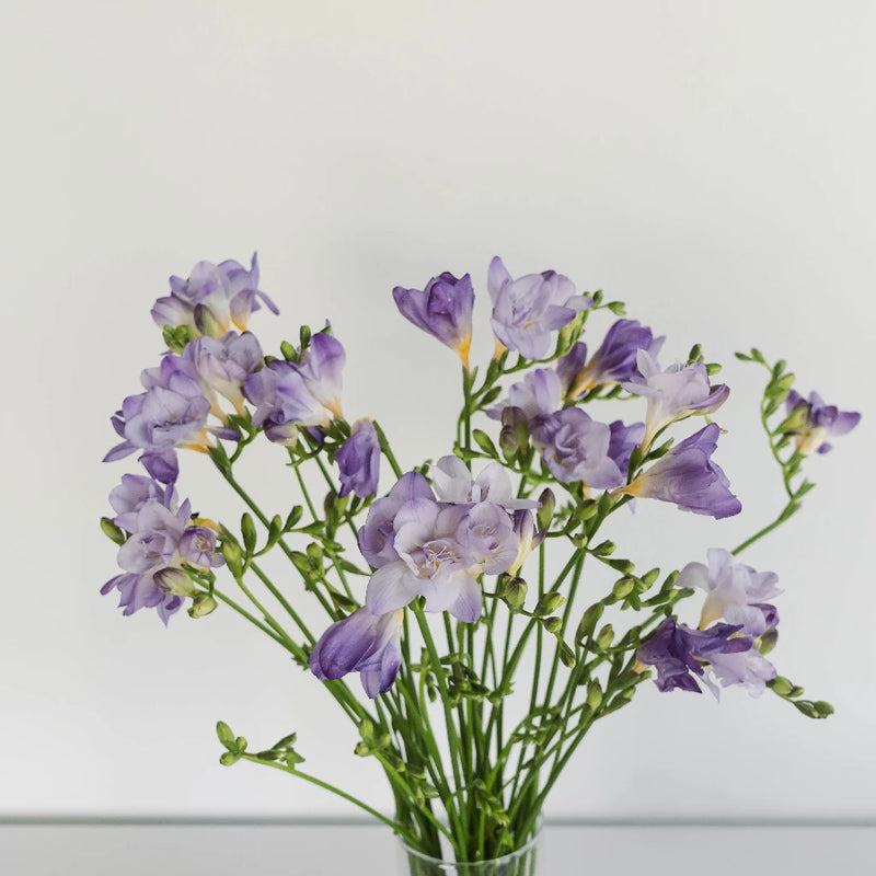 Lavender Freesia Flower Vase - Image