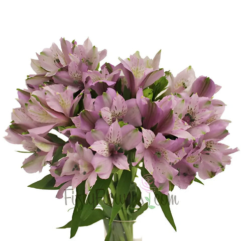 Lavender Peruvian Lilies Vase - Image