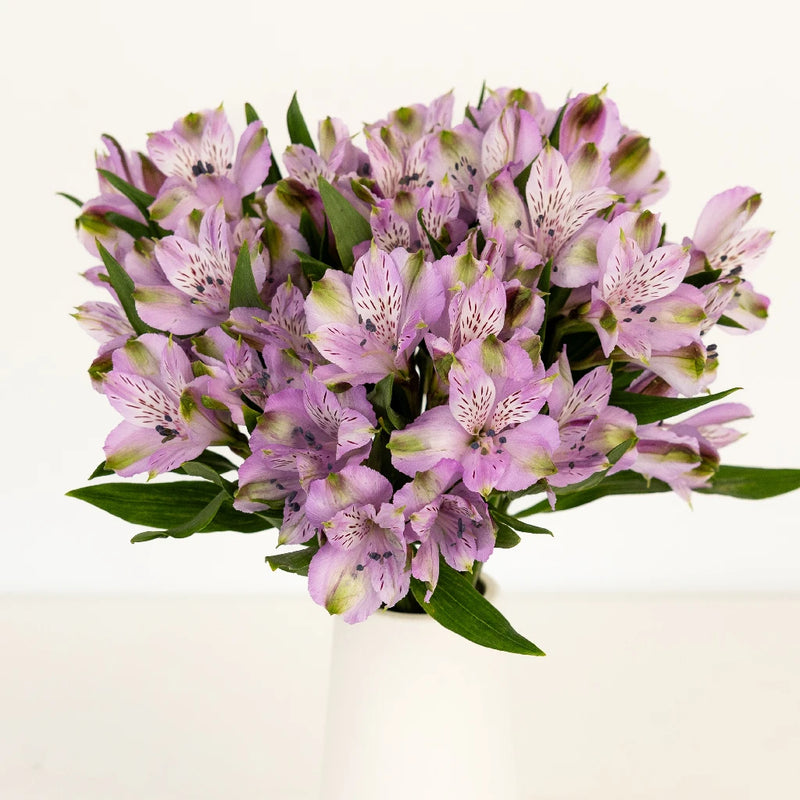Lavender Peruvian Lilies Vase - Image
