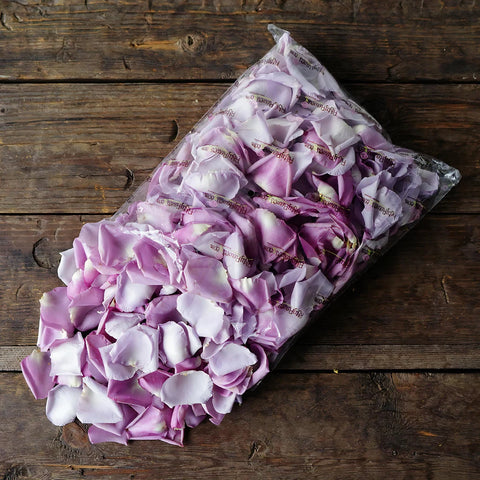 Lavender Fresh Rose Petals Wholesale