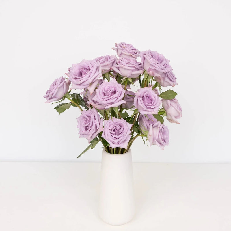 Lavender Valentines Day Rose Special Vase - Image
