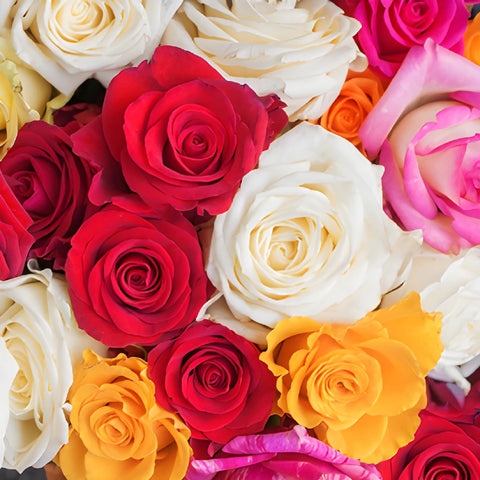 Dozen Leap Year Roses