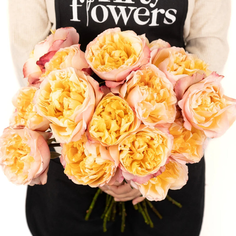 Lemon Chiffon David Austin Edith Garden Rose Apron - Image