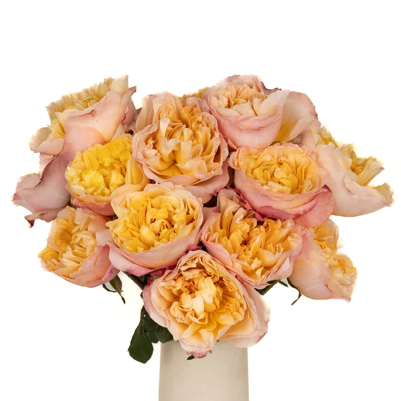 Lemon Chiffon David Austin Edith Garden Rose Vase - Image