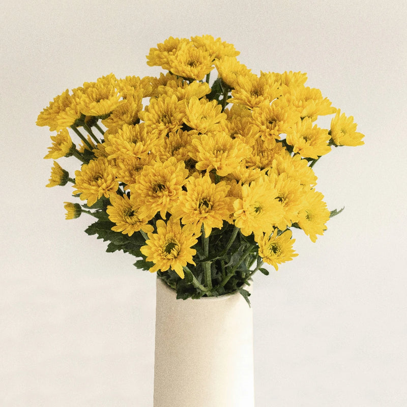 Lemon Lime Spray Pom Flower Vase - Image