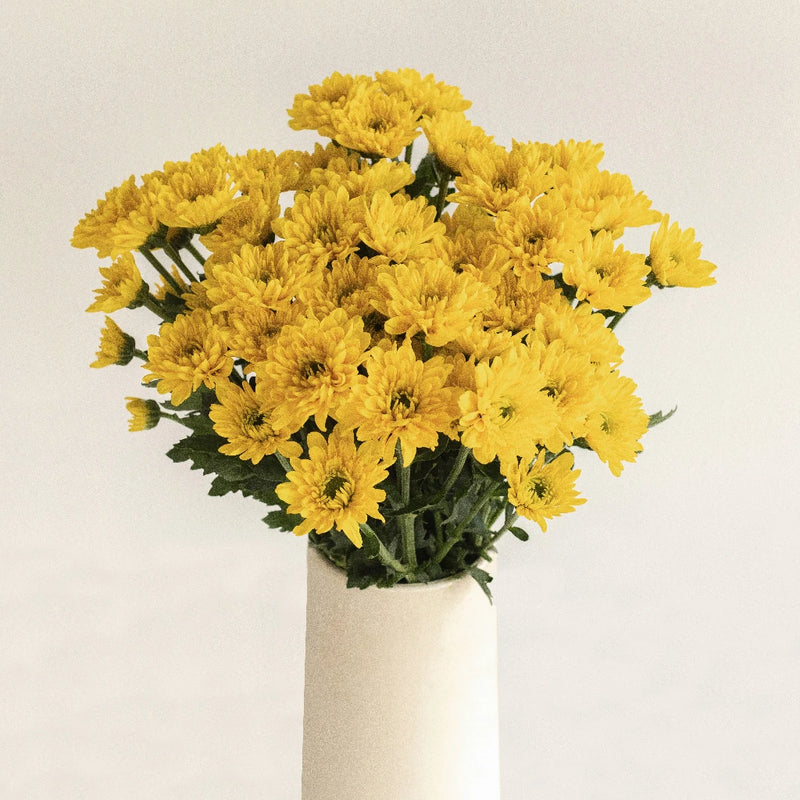 Lemon Lime Spray Pom Flower Vase - Image