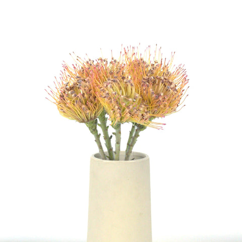 Lemonade Pin Cushion Flower Vase - Image