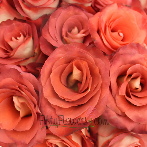 Leonidas Novelty Rose