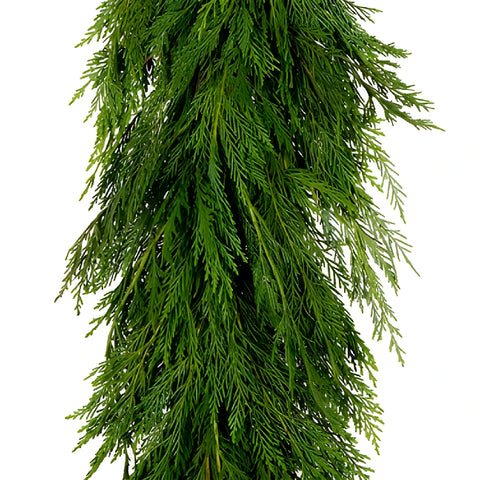 Leyland Cedar Winter Greens Garland