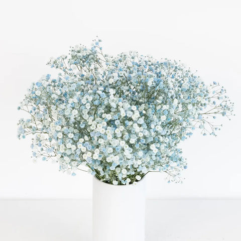 Light Blue Airbrushed Baby's Breath Flower Vase - Image