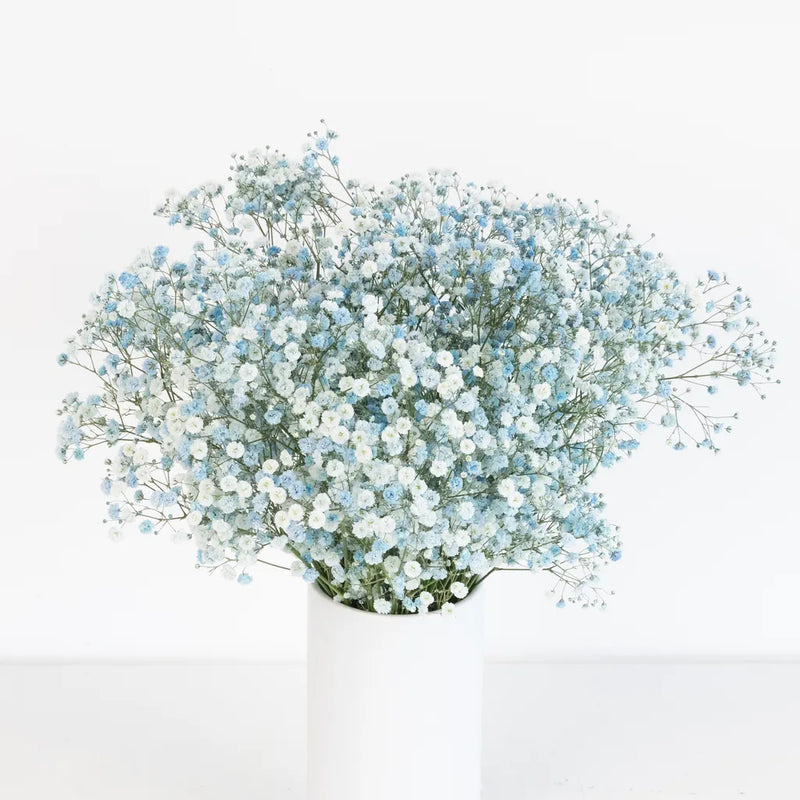 Light Blue Airbrushed Baby's Breath Flower Vase - Image