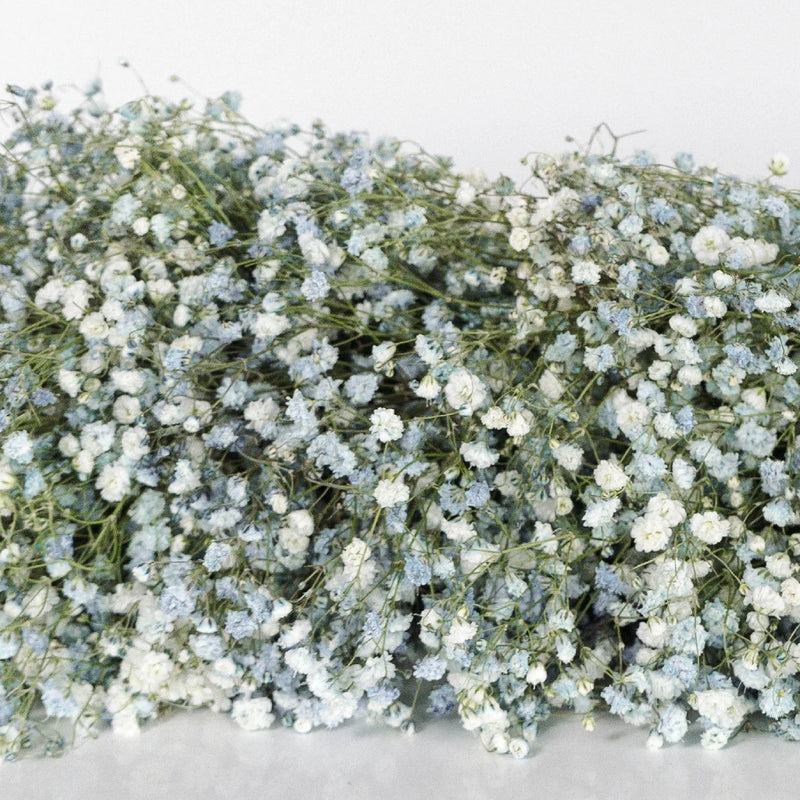 Light Blue Baby's Breath Tinted Garland Close Up - Image