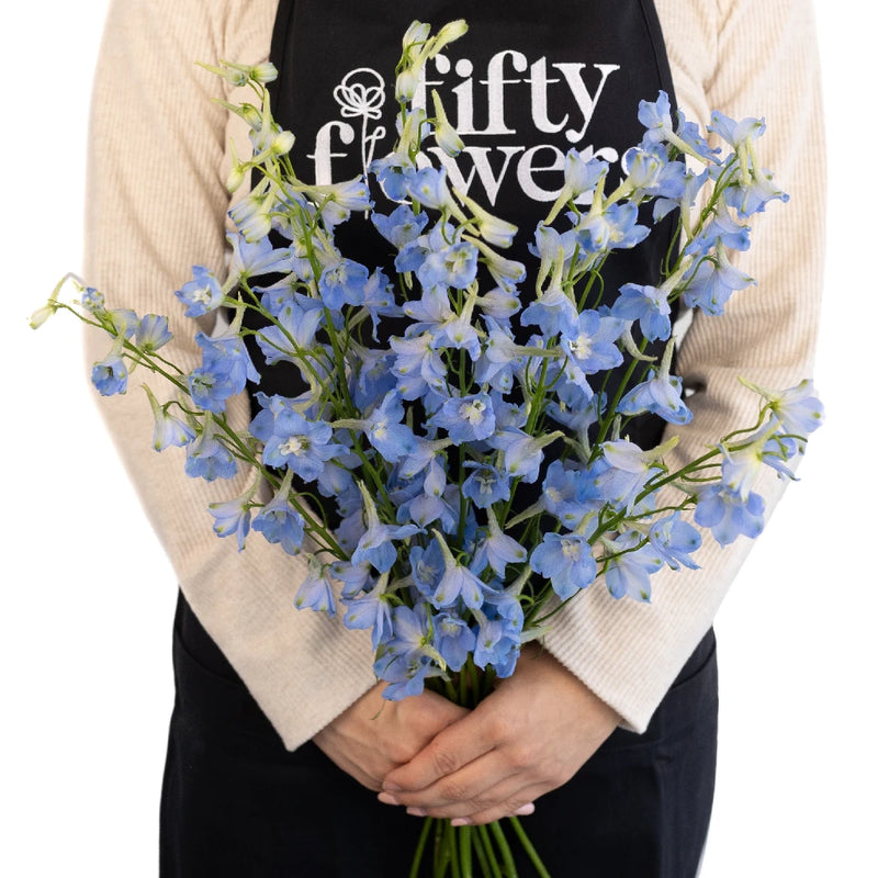 anthurium light blue Buy Wholesale Light Blue Delphinium Flower in Bulk