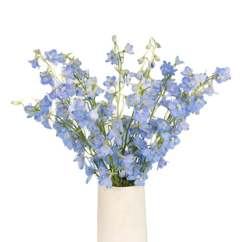Light Blue Delphinium Flower Vase - Image