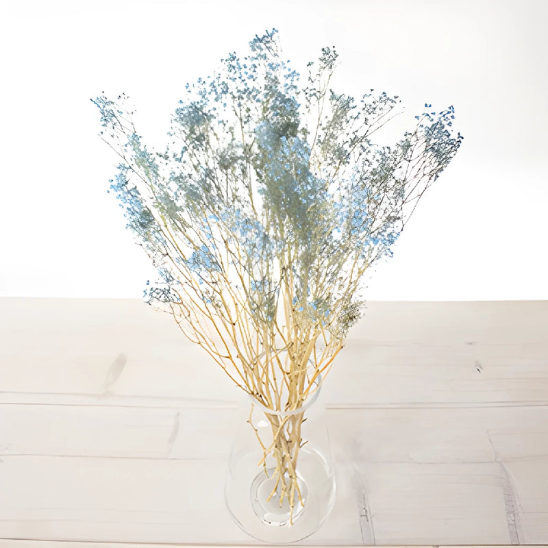 Light Blue Dried Baby's Breath Flower