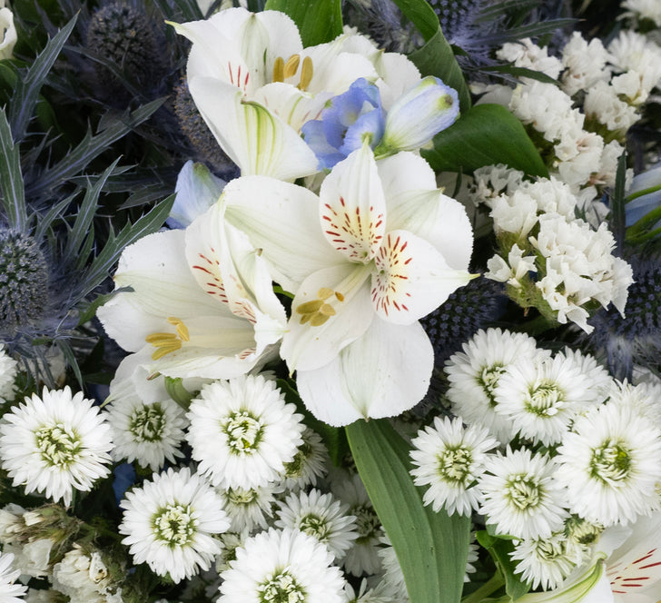 Light Blue Magic Diy Flower Kit Close Up - Image