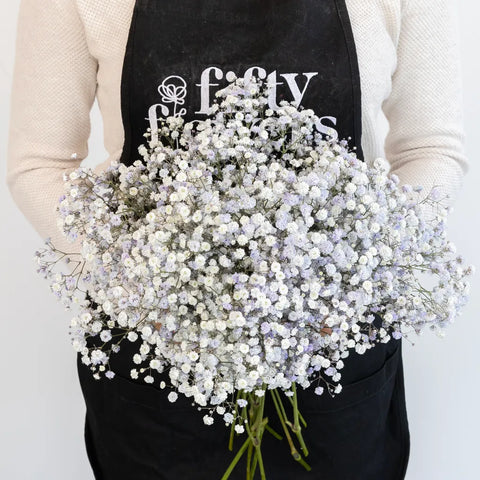Light Lavender Airbrushed Babys Breath Flower Apron - Image