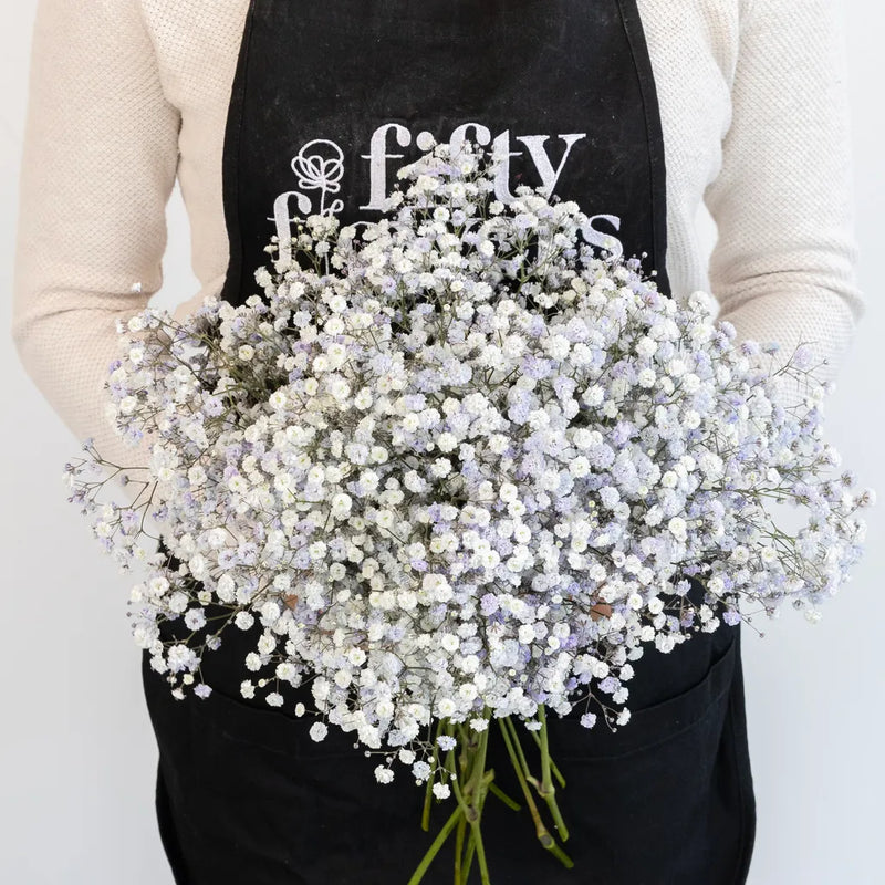 Light Lavender Airbrushed Babys Breath Flower Apron - Image