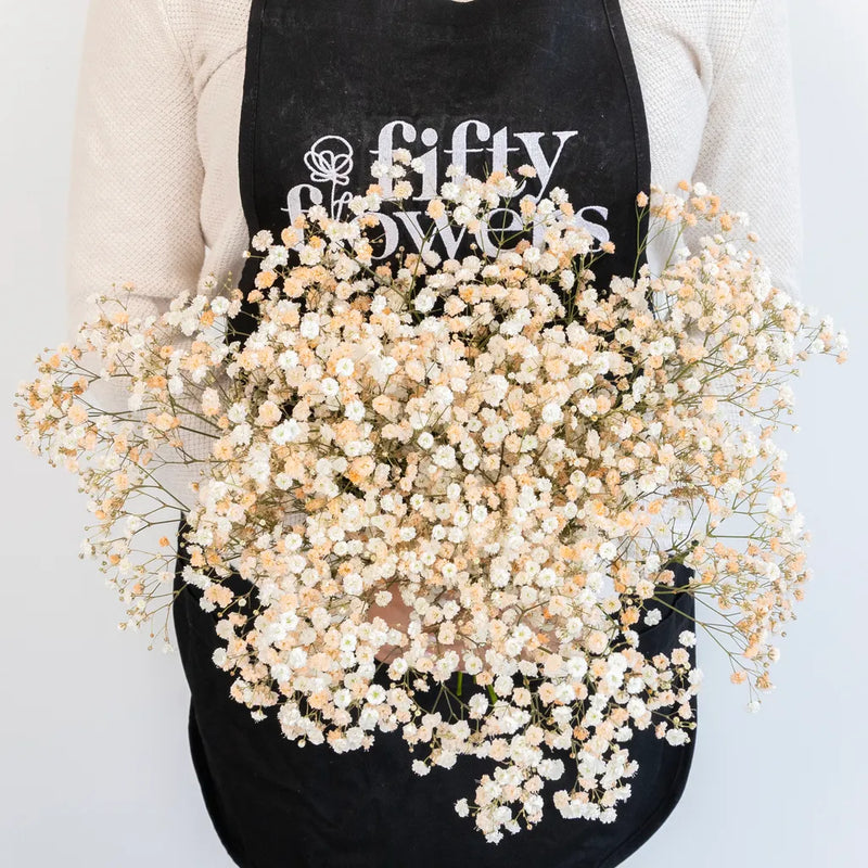 Light Orange Airbrushed Baby's Breath Flower Apron - Image