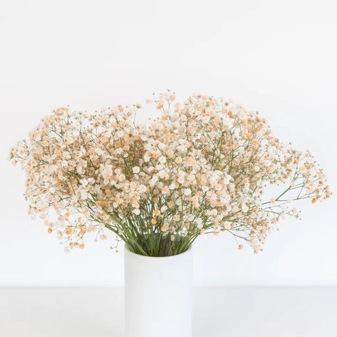 Light Orange Airbrushed Baby's Breath Flower Vase - Image
