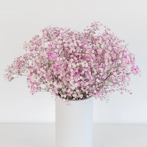 Light Pink Airbrushed Baby's Breath Flower Vase - Image