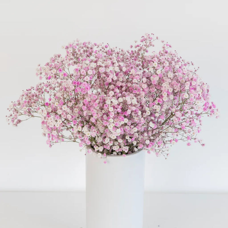 Light Pink Airbrushed Baby's Breath Flower Vase - Image