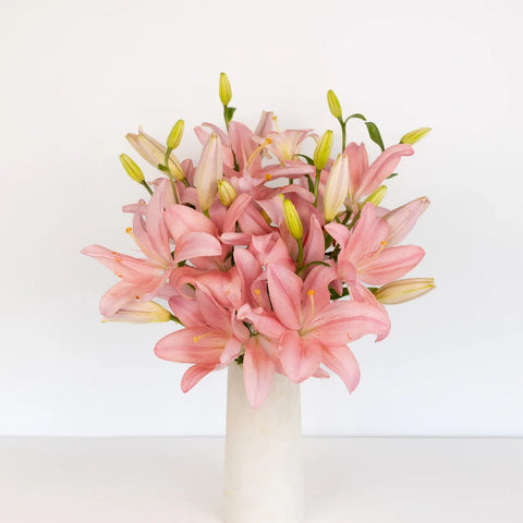 Light Pink Asiatic Lily Vase - Image