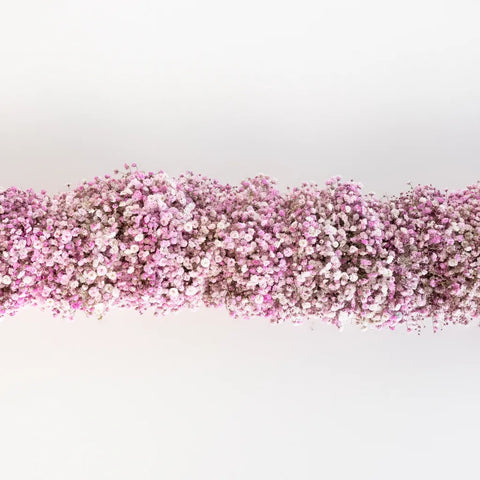 Light Pink Baby's Breath Garland Stem - Image